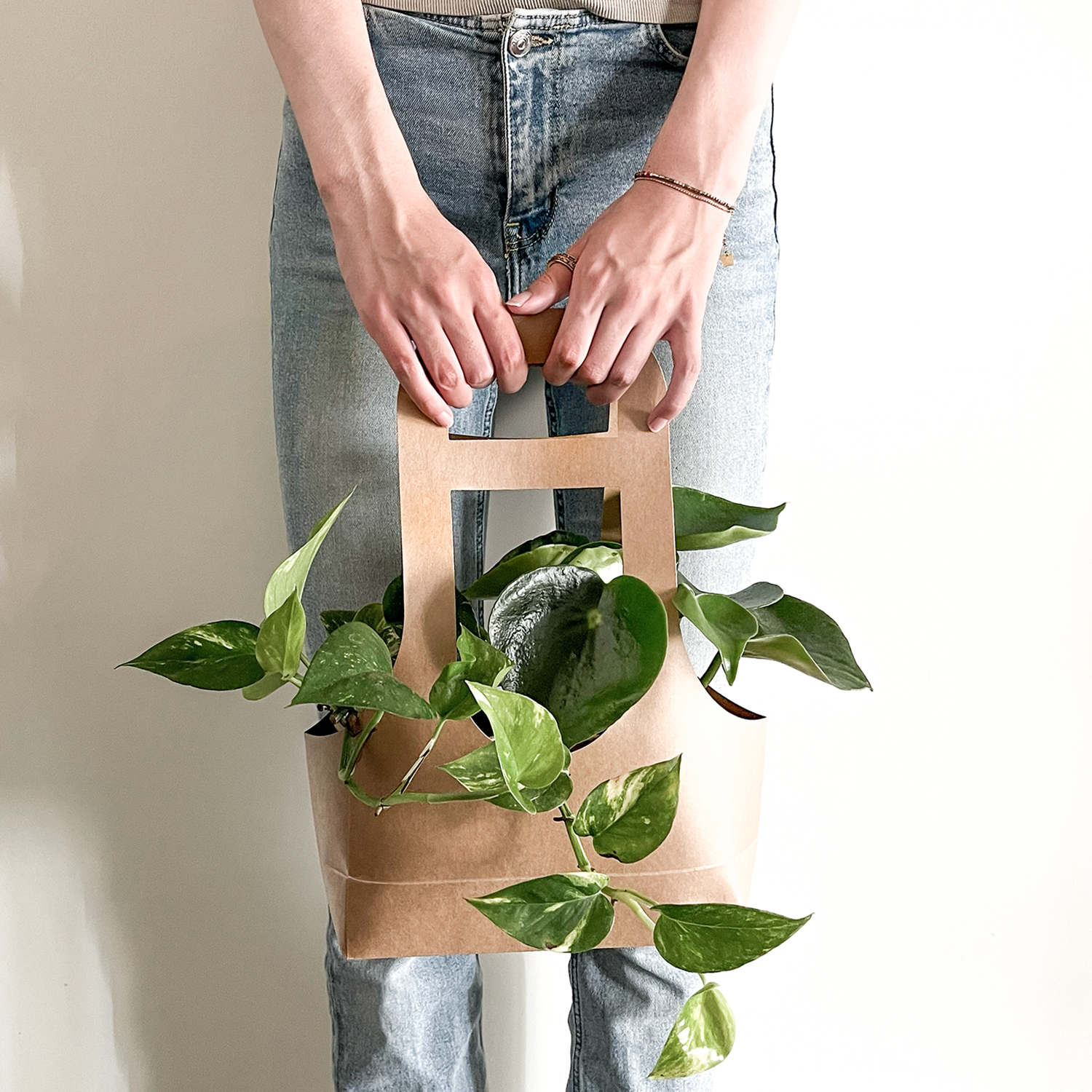 Bio PLANT-bag