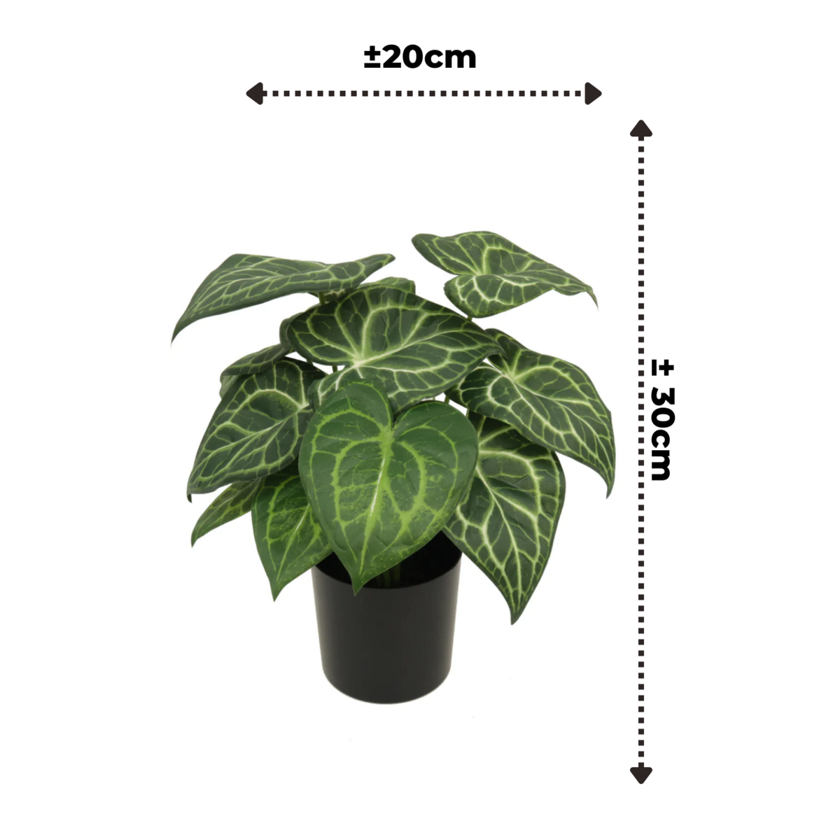 Syngonium Kunstplant 30 cm