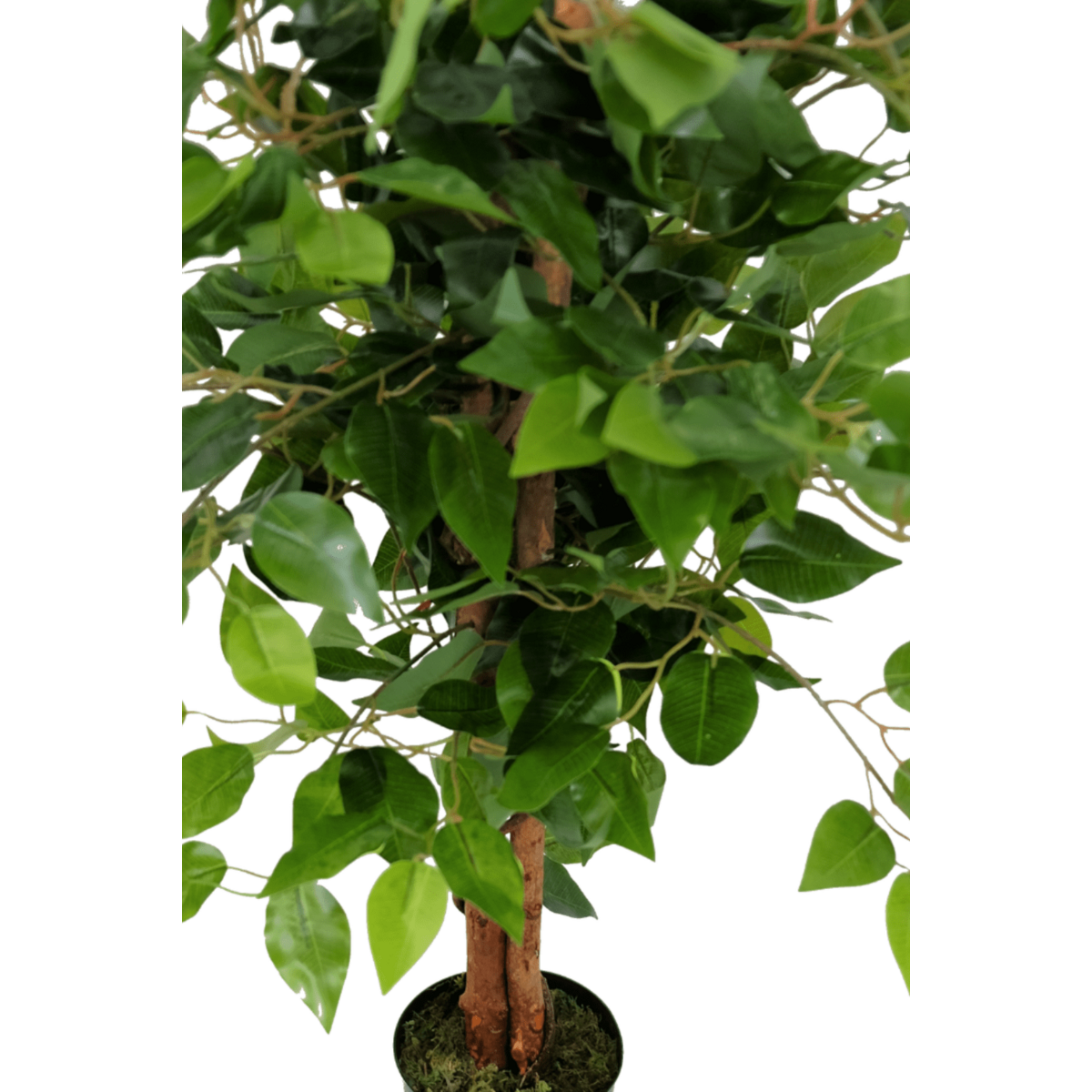 Ficus Kunstboom 90cm