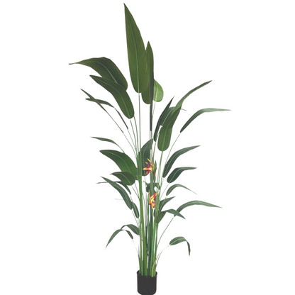 Strelitzia Kunstplant Met Bloem 210cm