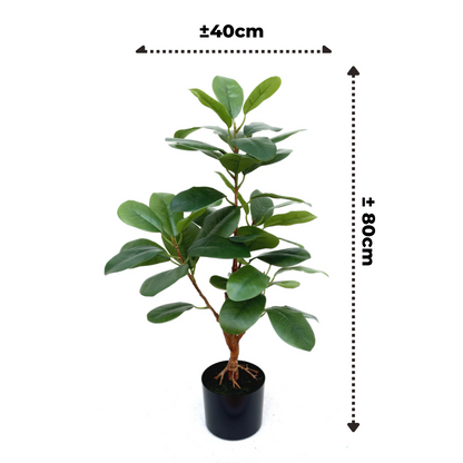 Ficus Kunstplant 80cm