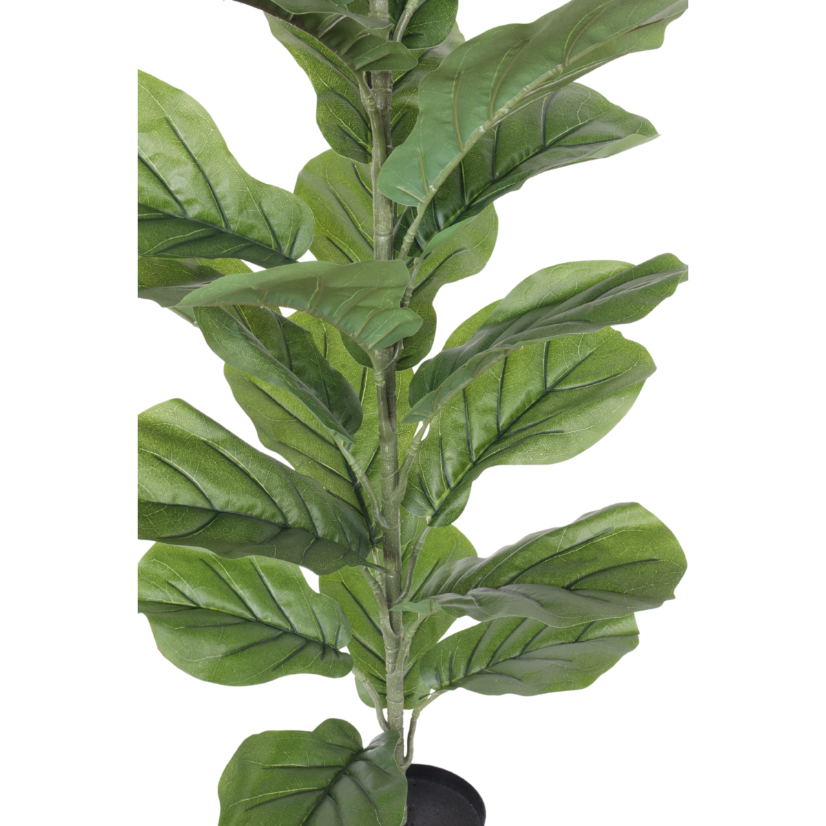 Ficus Kunstplant 100cm