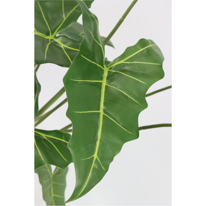 Alocasia Kunstplant 75cm