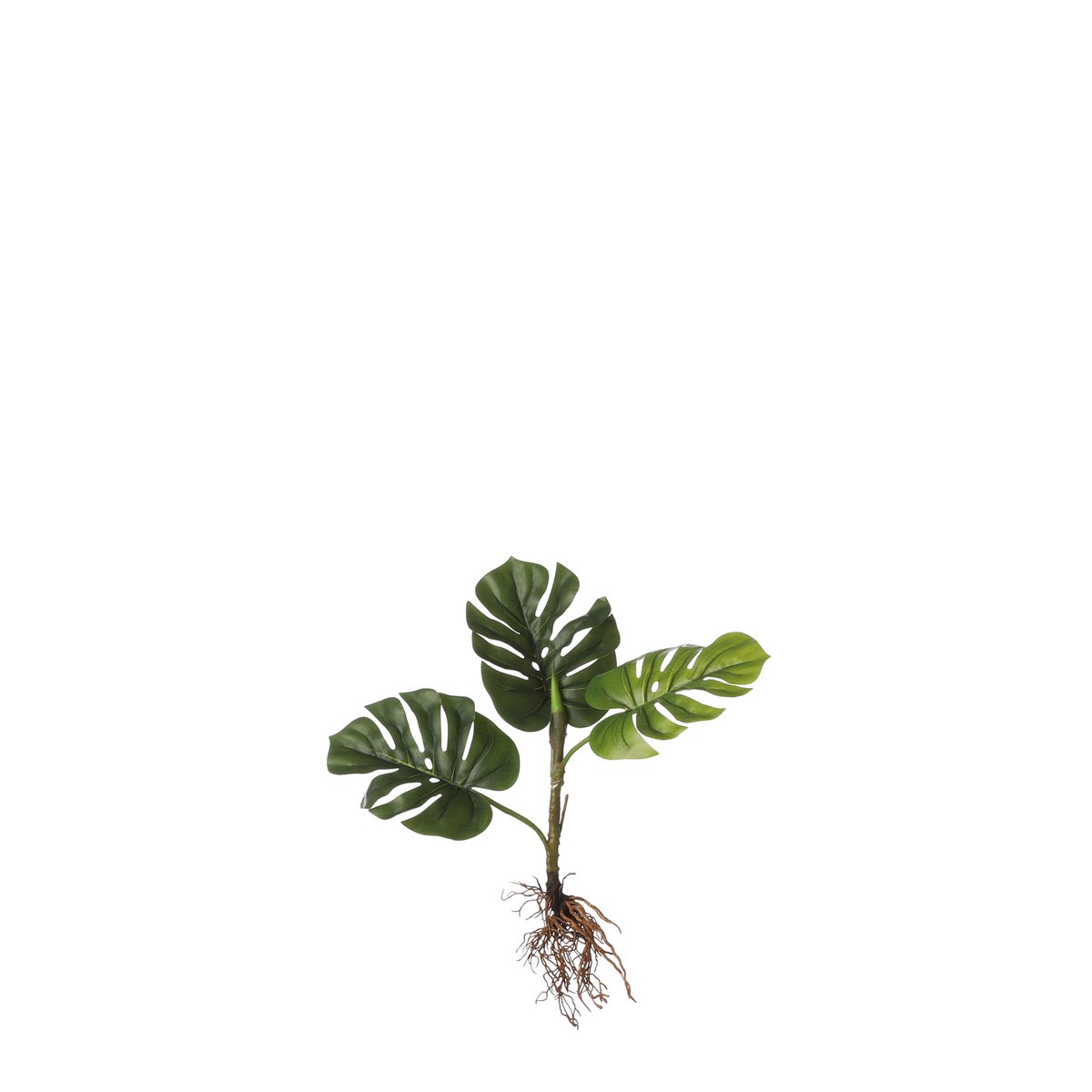 Monstera Kunstplant - L12 x B21 x H54 cm - Groen