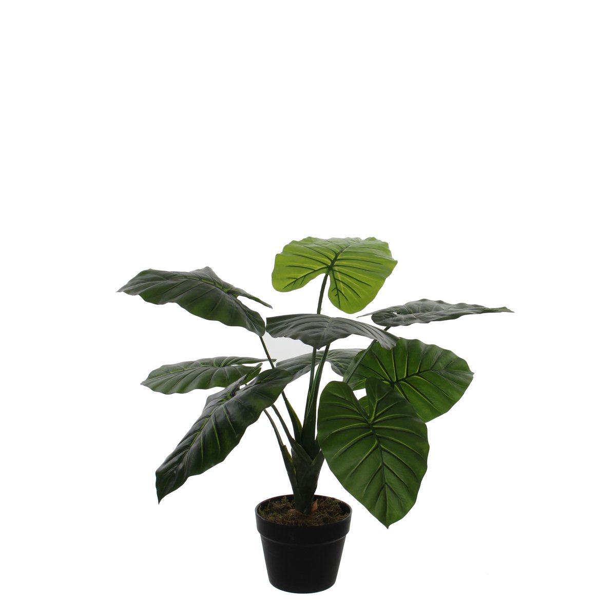 Taro Kunstplant - H60 x Ø60 cm - Groen