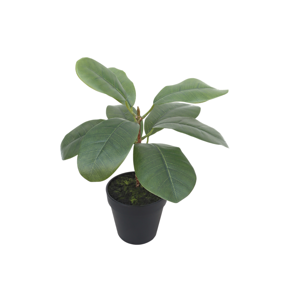 Ficus Kunstplant 35cm