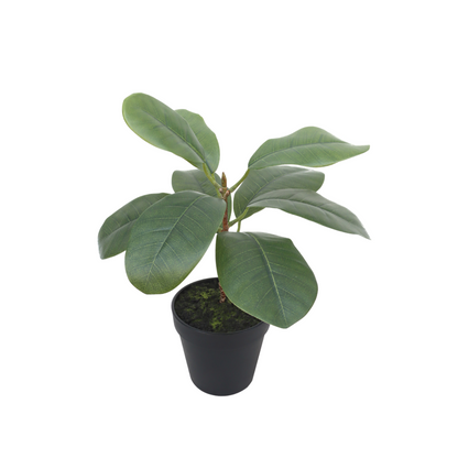 Ficus Kunstplant 35cm