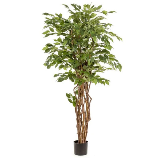 Ficus Liana Kunstboom 170cm