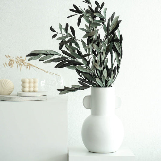 BIO Preserved olive branches