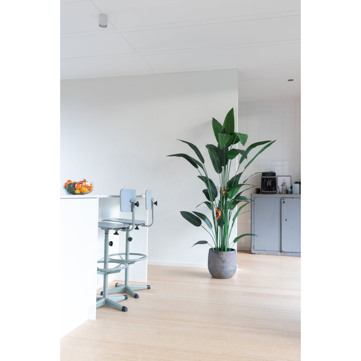 Strelitzia Kunstplant Met Bloem 210cm