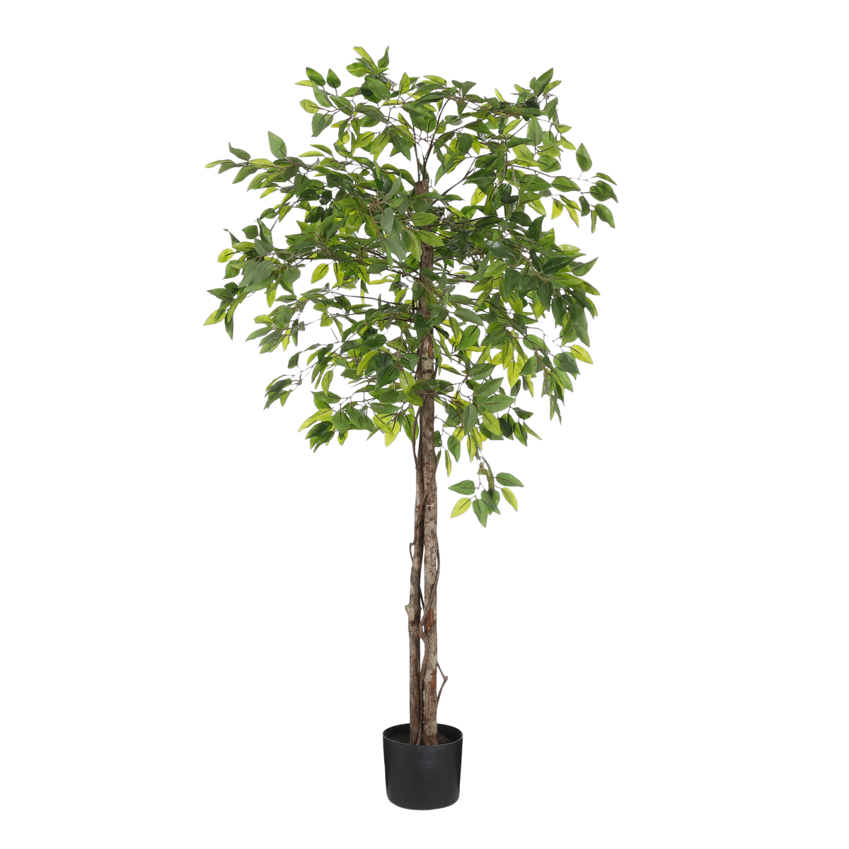 Ficus Kunstplant in Bloempot - H150 x Ø50 cm - Groen 