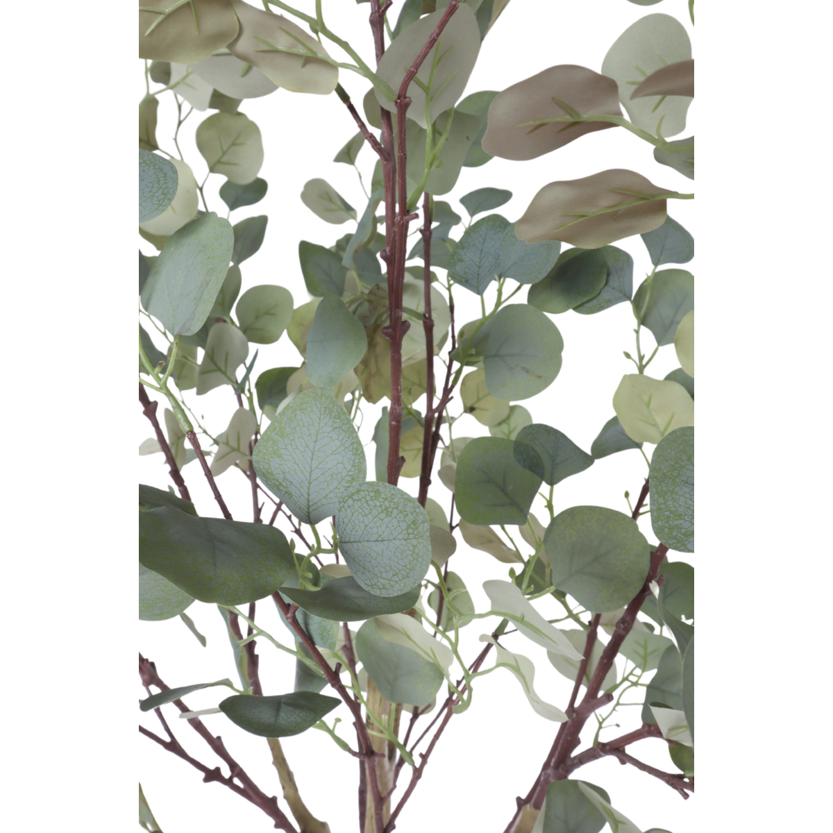 Eucalyptus Kunstboom 160cm