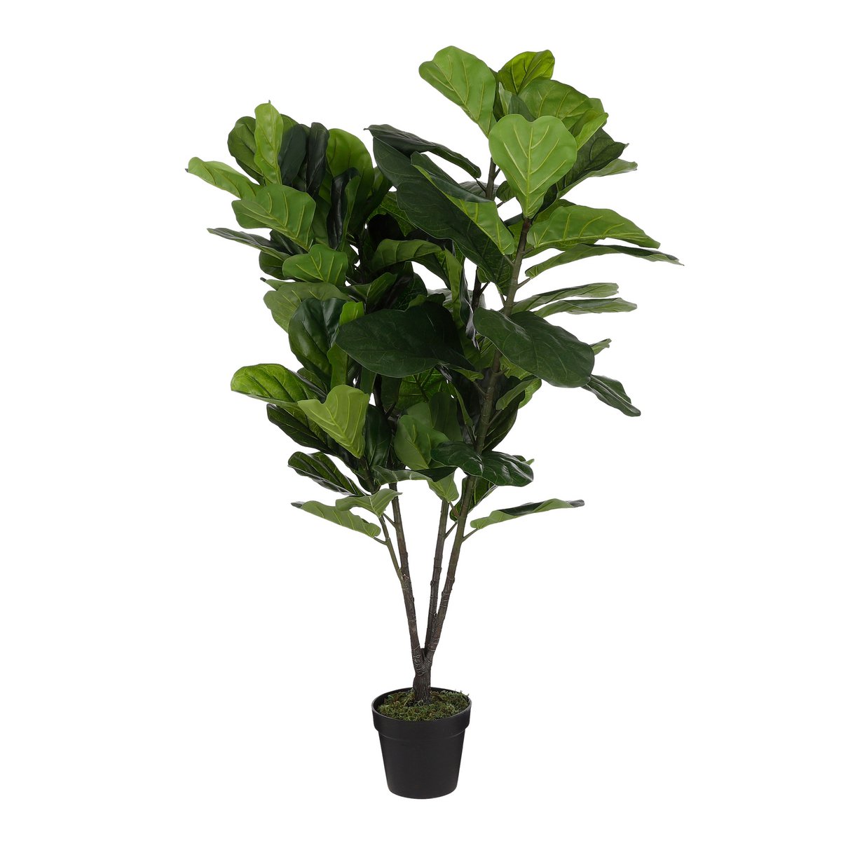 Ficus Lyrata Kunstplant - H150 x Ø80 cm - Groen