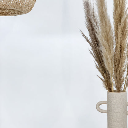 Pampas grass beige natural | for table vase