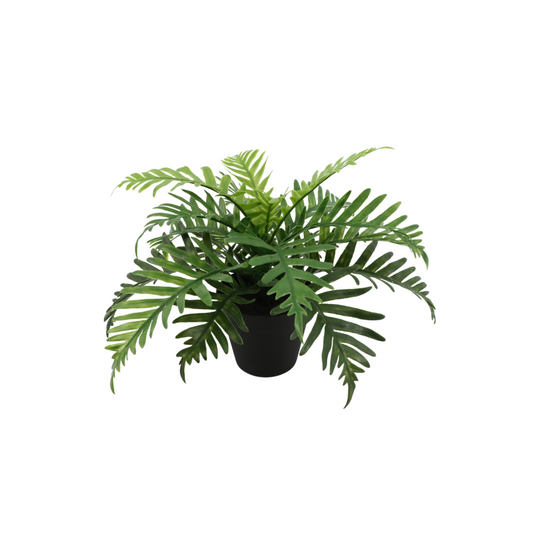 Pteris Kunstplant 20cm