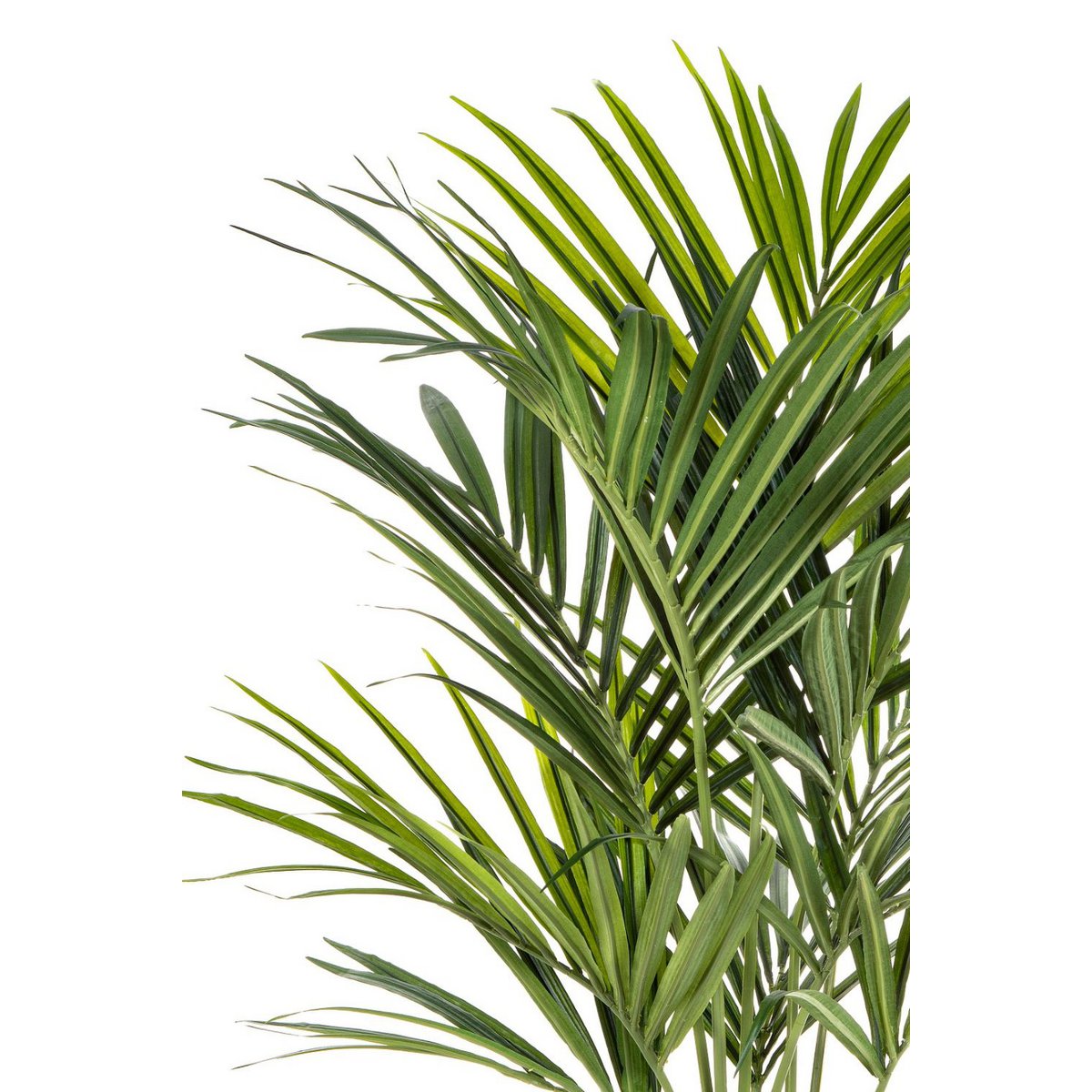 Kentia Kunstpalm 150cm