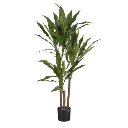 Dracaena Kunstplant - H100 x Ø70 cm