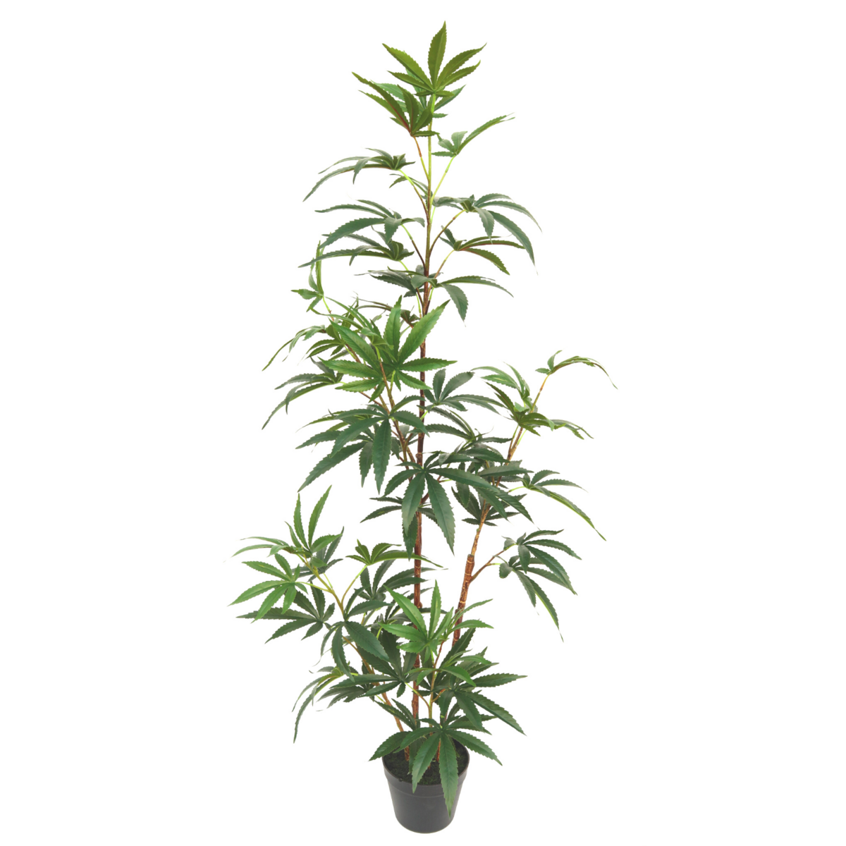 Aralia Kunstplant 130cm