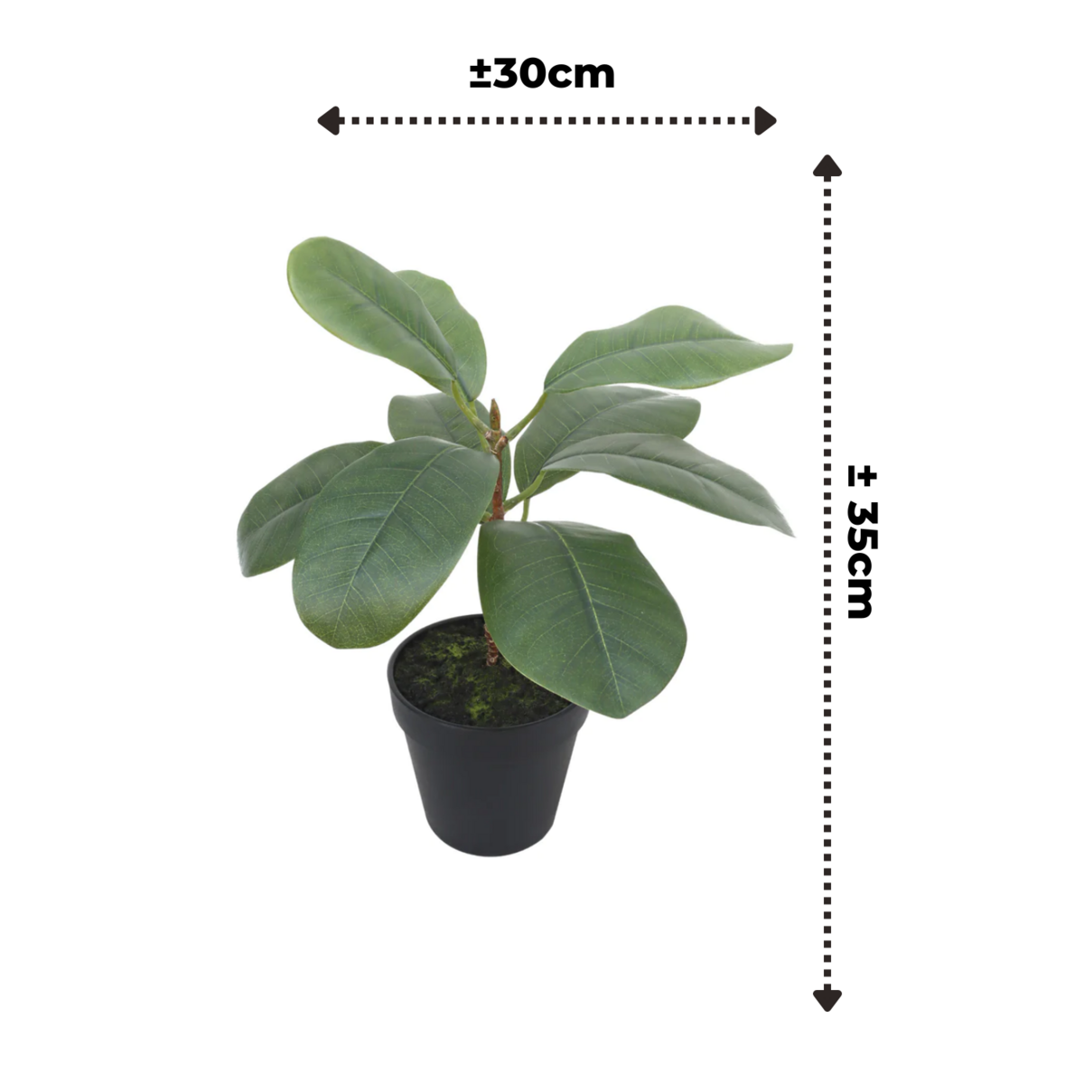 Ficus Kunstplant 35cm