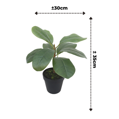 Ficus Kunstplant 35cm