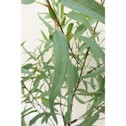 Eucalyptus Kunstplant 175cm