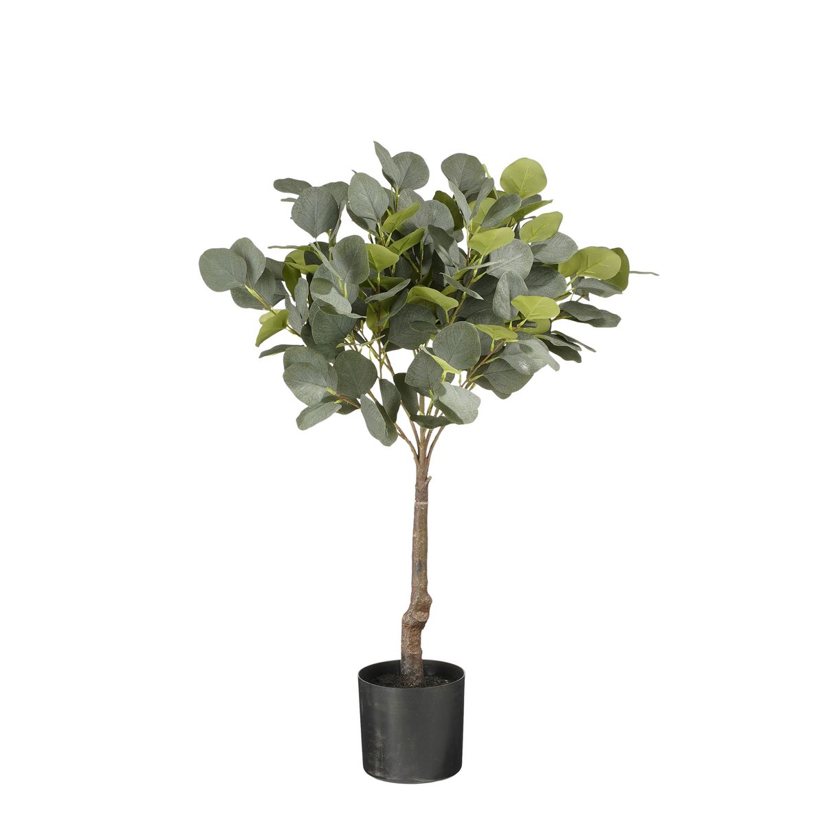 Eucalyptus Kunstplant in Bloempot - H75 x Ø15 cm - Groen 