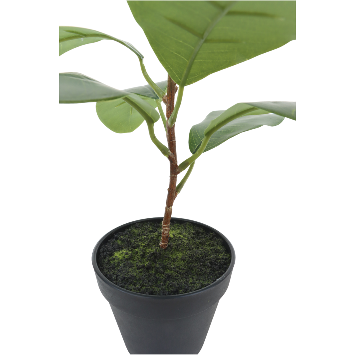 Ficus Kunstplant 35cm