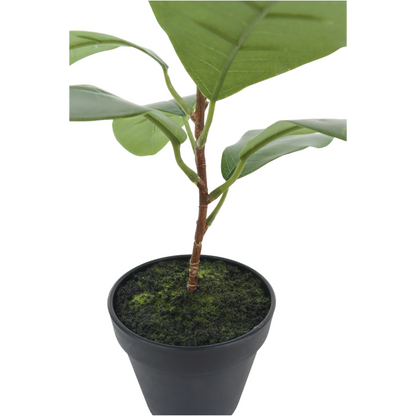 Ficus Kunstplant 35cm