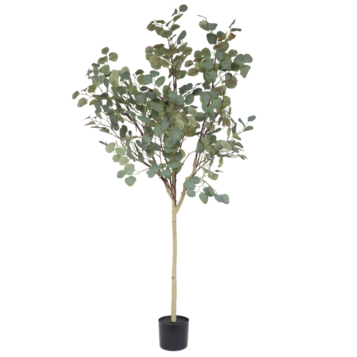 Eucalyptus Kunstboom 160cm