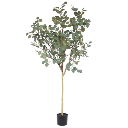 Eucalyptus Kunstboom 160cm