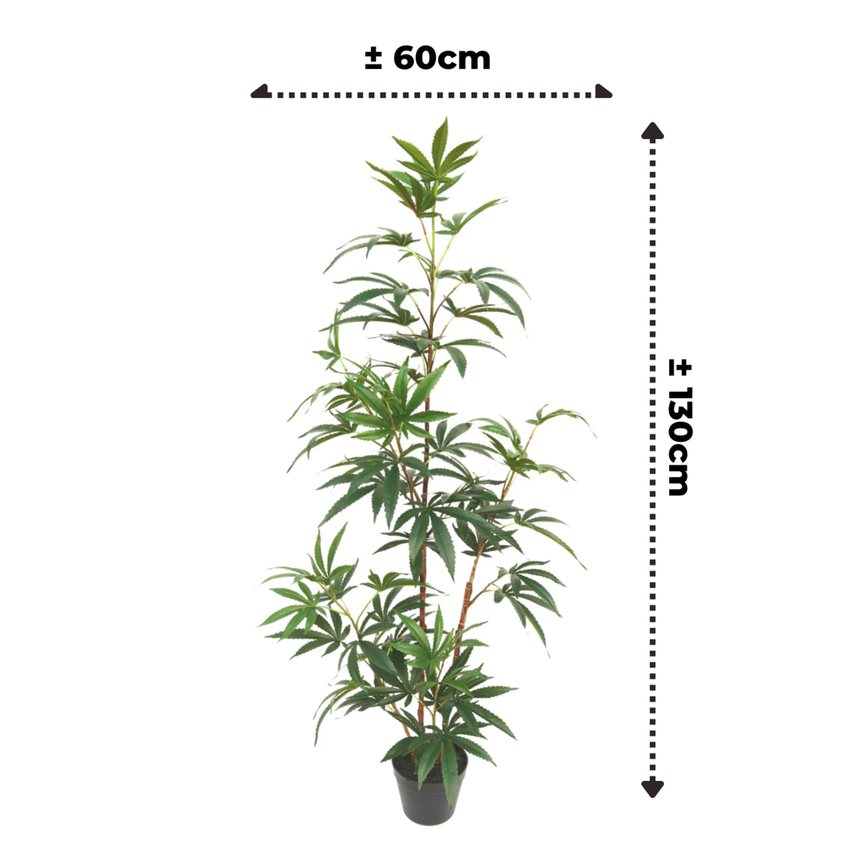 Aralia Kunstplant 130cm