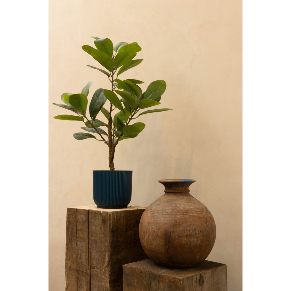 Ficus Kunstplant 80cm