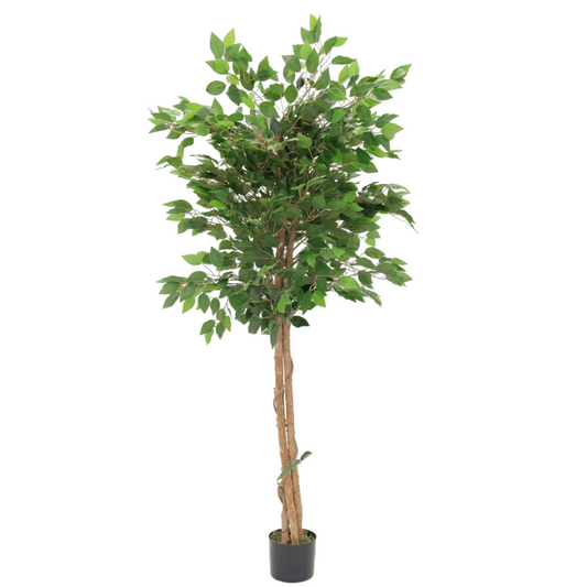 Kunst Ficus 150cm