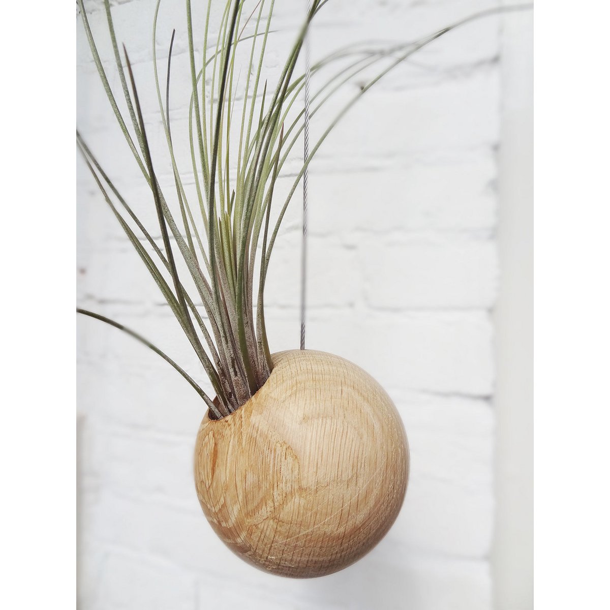 Hanging ball - Light Oak