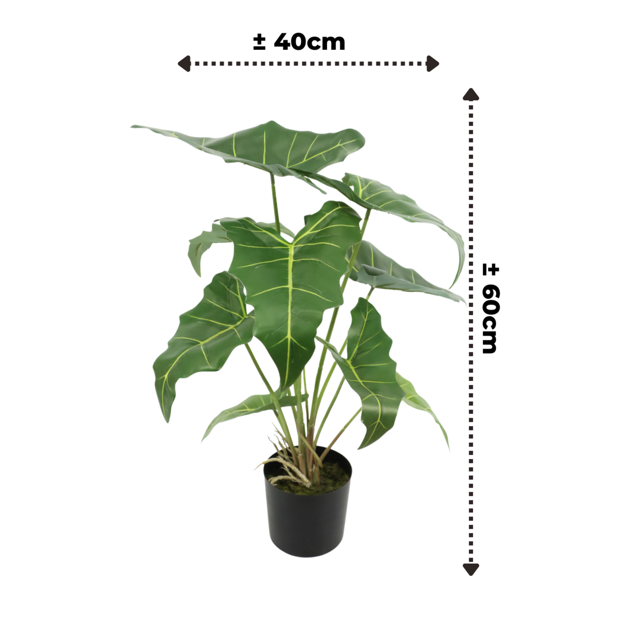 Alocasia Kunstplant 60cm