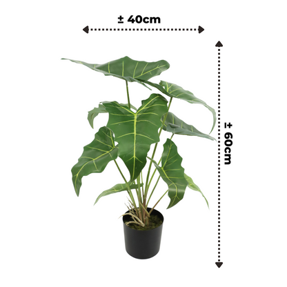 Alocasia Kunstplant 60cm