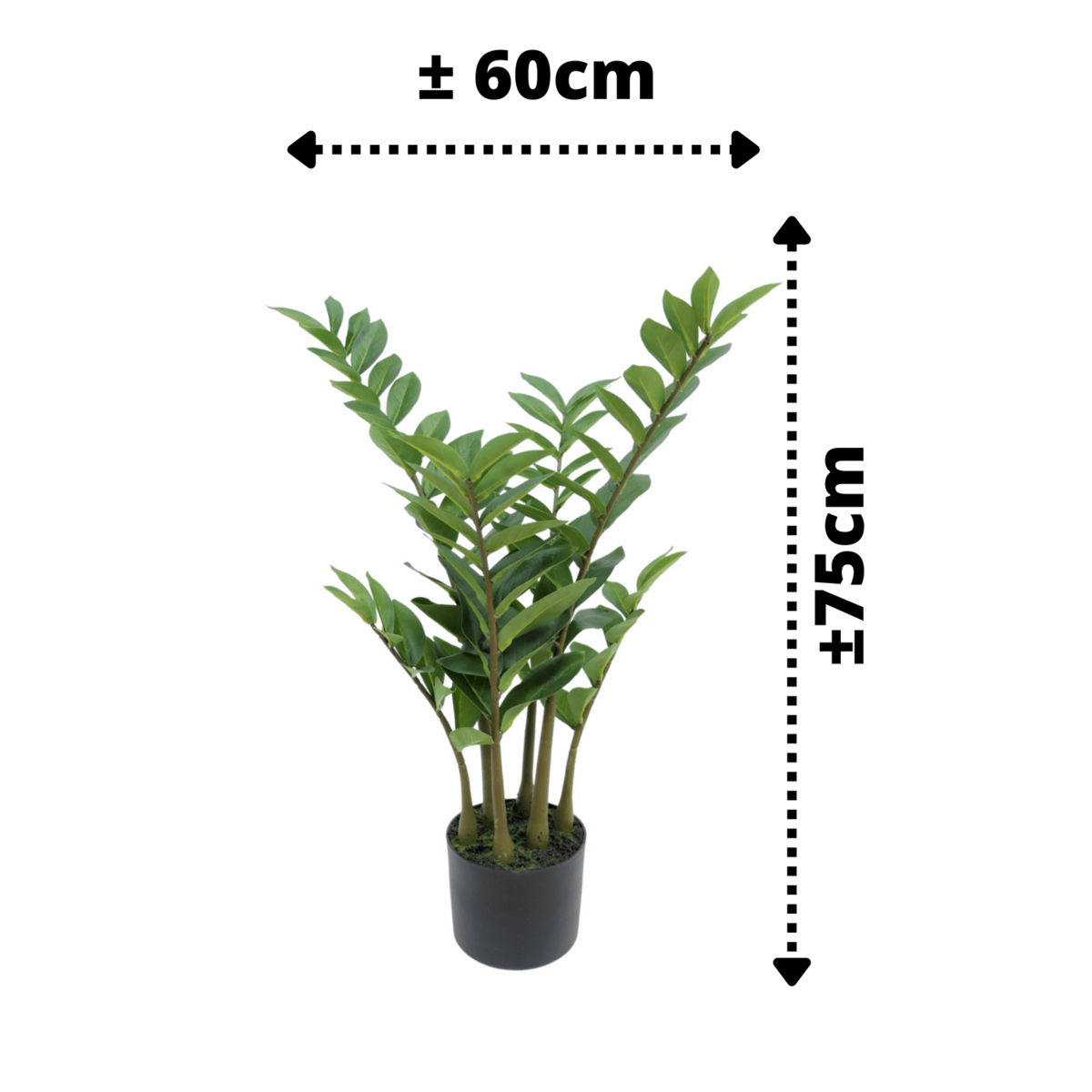 Zamioculcas Kunstplant 75cm