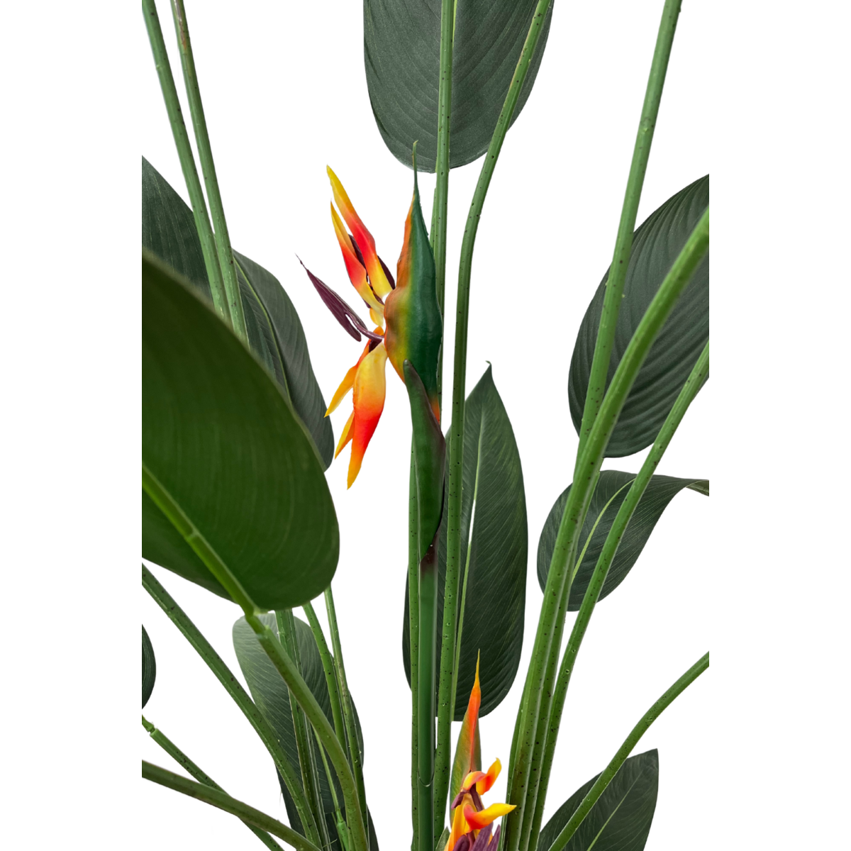 Strelitzia Kunstplant Met Bloem 180cm