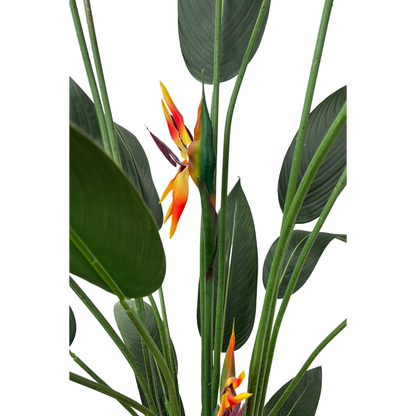 Strelitzia Kunstplant Met Bloem 180cm