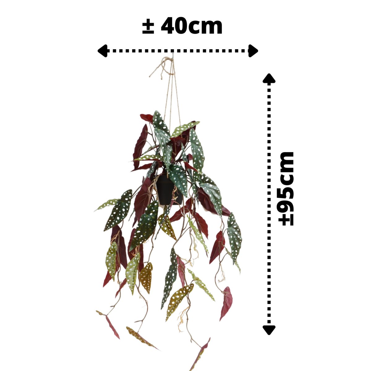 Begonia Maculata Kunst Hangplant 95cm