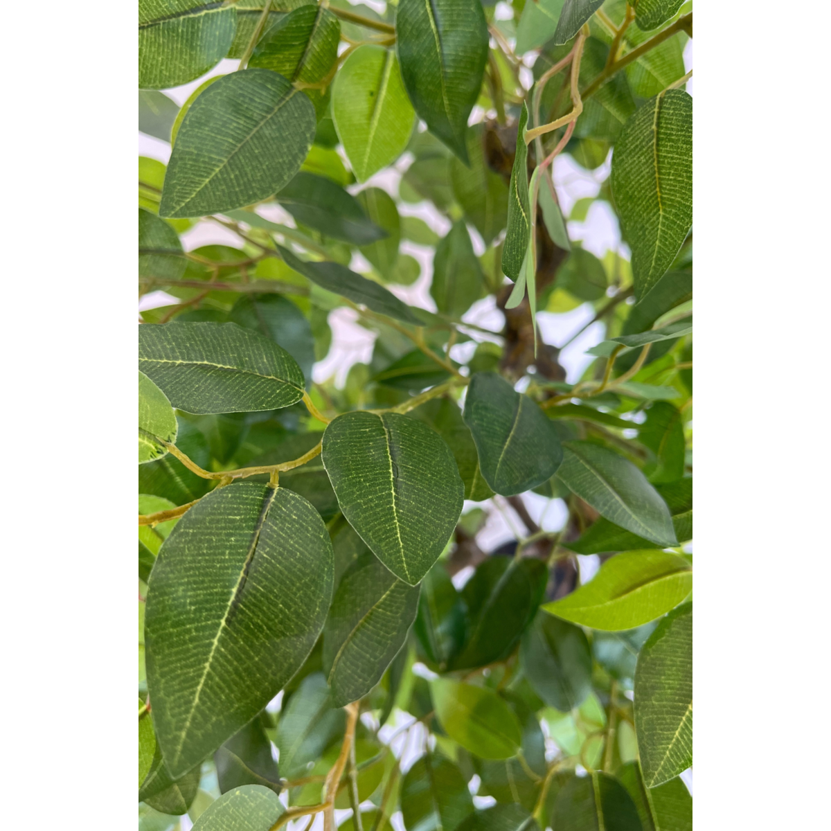 Ficus Kunstboom 100cm