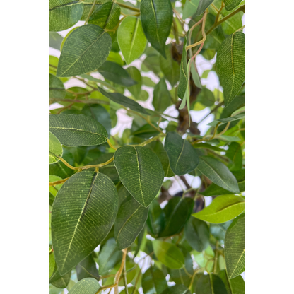 Ficus Kunstboom 100cm