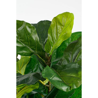 Ficus Lyrata Kunstplant - H150 x Ø80 cm - Groen