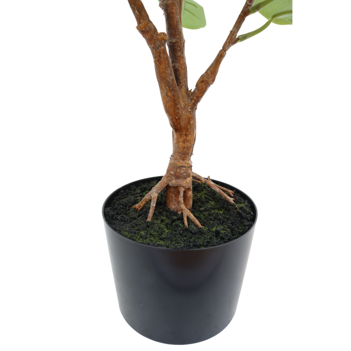 Ficus Kunstplant 80cm