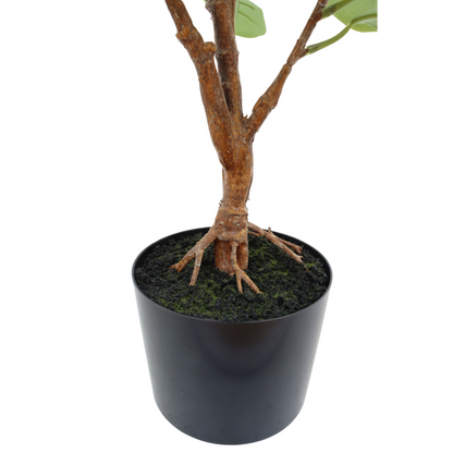 Ficus Kunstplant 80cm