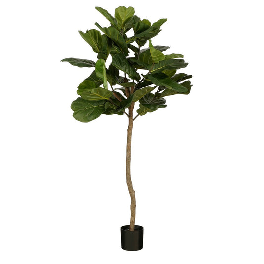 Ficus Lyrata Kunstplant - H165 x Ø95 - Groen