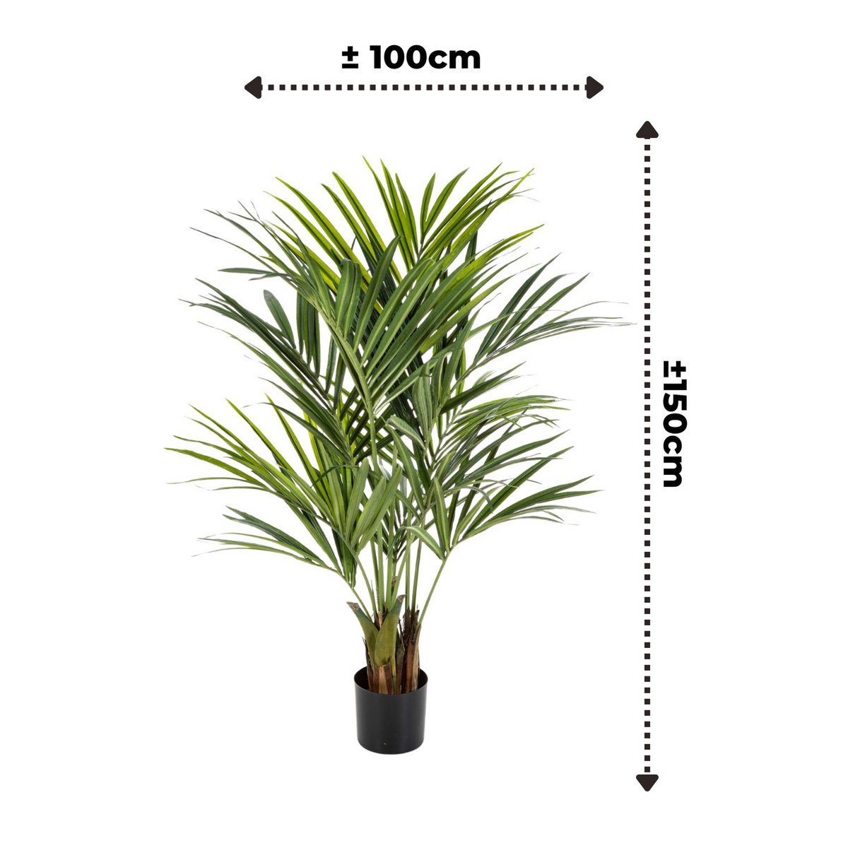 Kentia Kunstpalm 150cm