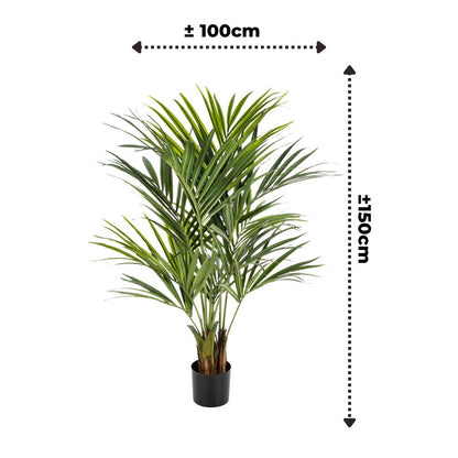 Kentia Kunstpalm 150cm