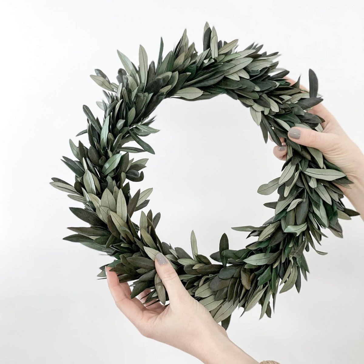 Preserved Olive Branch Wreath - Up to Three Bunches in One Beautiful Wreath