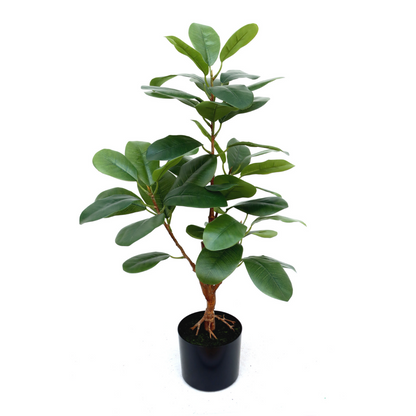 Ficus Kunstplant 80cm